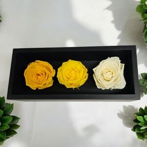 Khiva 3 Rose's in a Wood Box Decoration